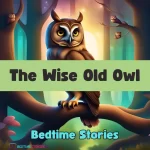Bedtime Stories The Wise Old Owl